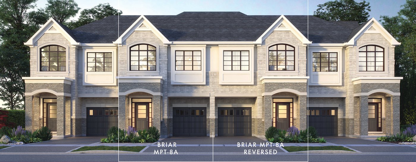 Briar — Elevation A