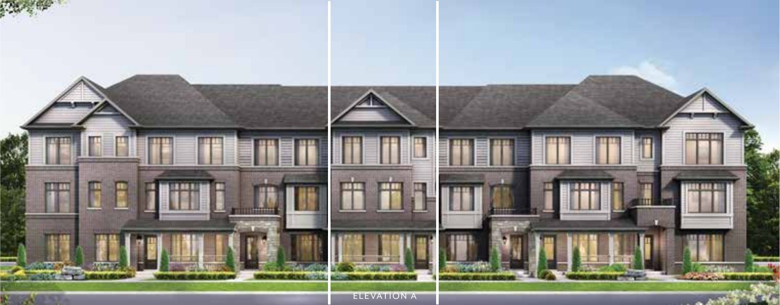 The Eucalyptus — Elevation 1