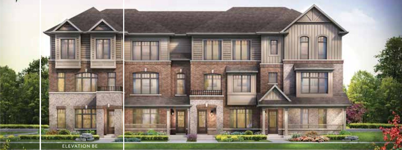 The Ficus — Elevation 1